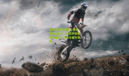 体育足彩网-德转公布巴甲身价前十，前巴萨新星罗克居首，内马尔意外落榜