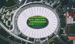 体育足彩网|马赫雷斯郑重声明，拒绝与C罗类比，明年世界杯后或结束职业生涯