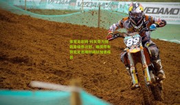 体育足彩网-科瓦奇力推新星培养计划，确保乔布获充足出场时间以加速成长