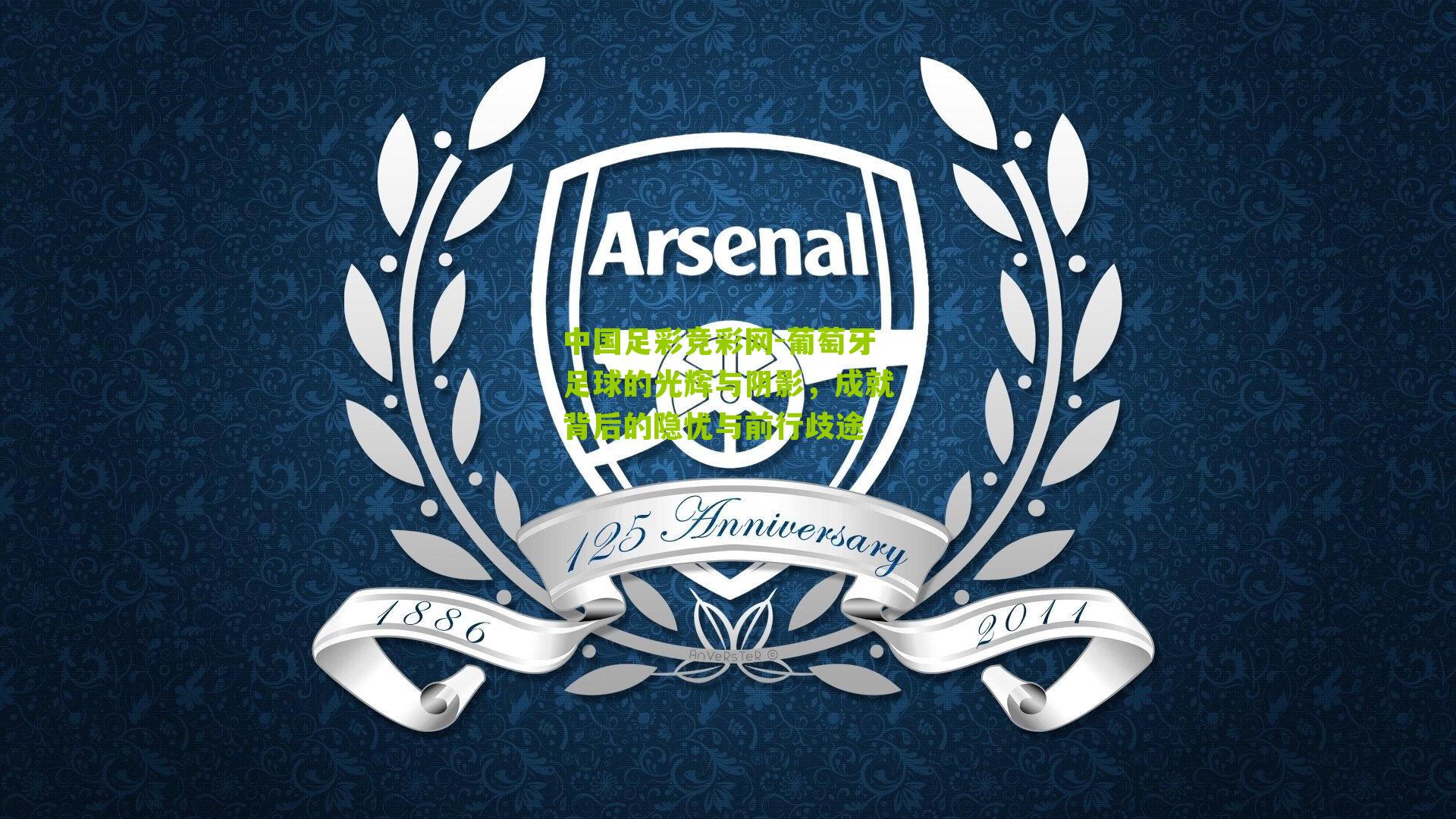 葡萄牙足球的光辉与阴影，成就背后的隐忧与前行歧途