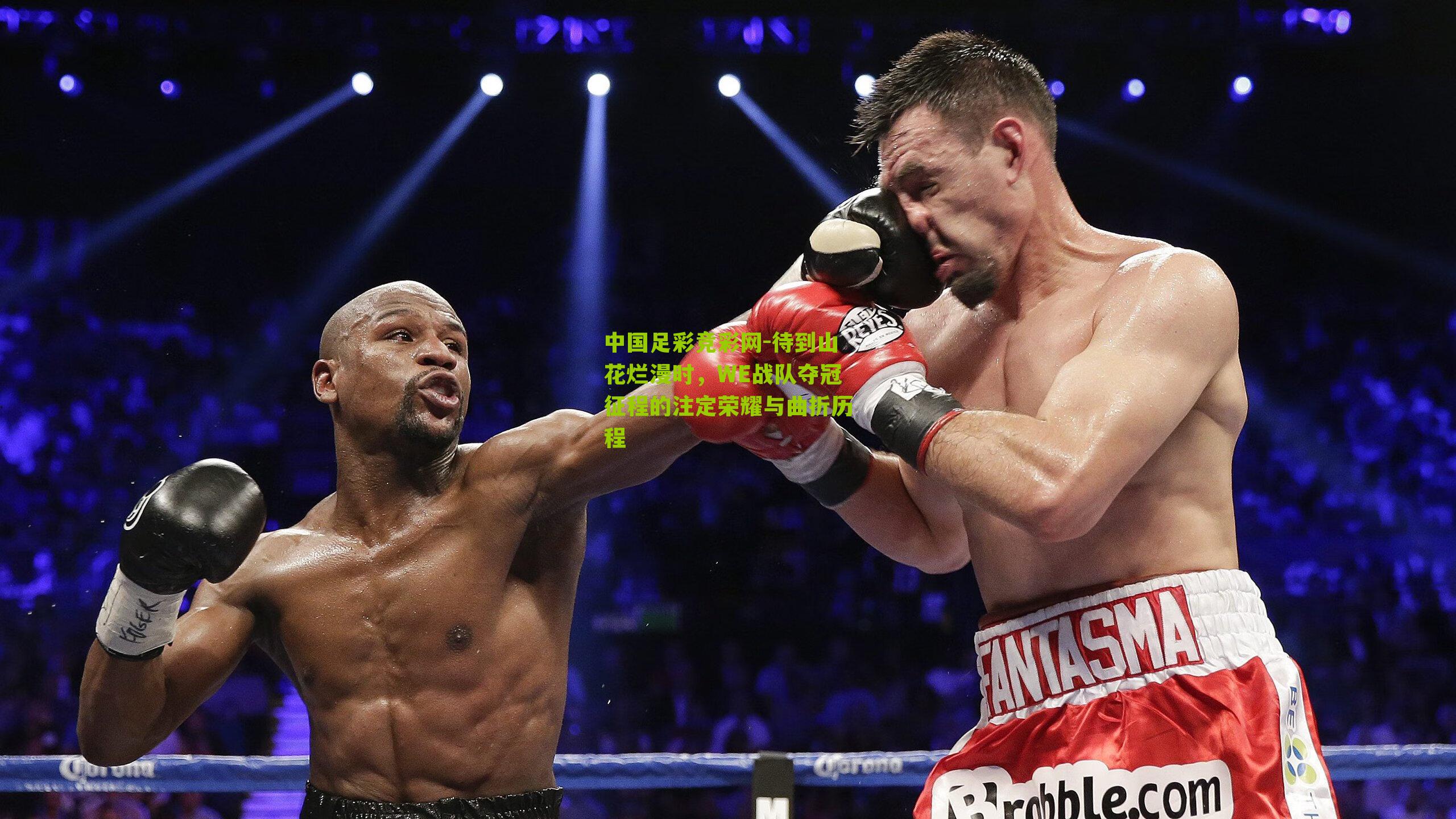 待到山花烂漫时，WE战队夺冠征程的注定荣耀与曲折历程