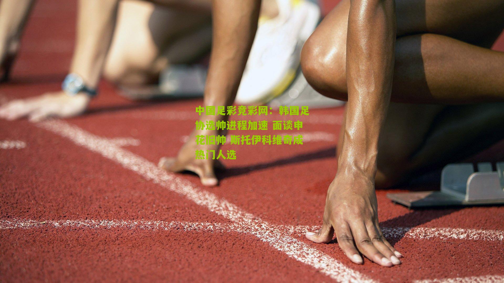 韩国足协选帅进程加速 面谈申花旧帅 斯托伊科维奇成热门人选